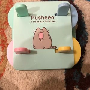 Pusheen Popsicle Mold Set
